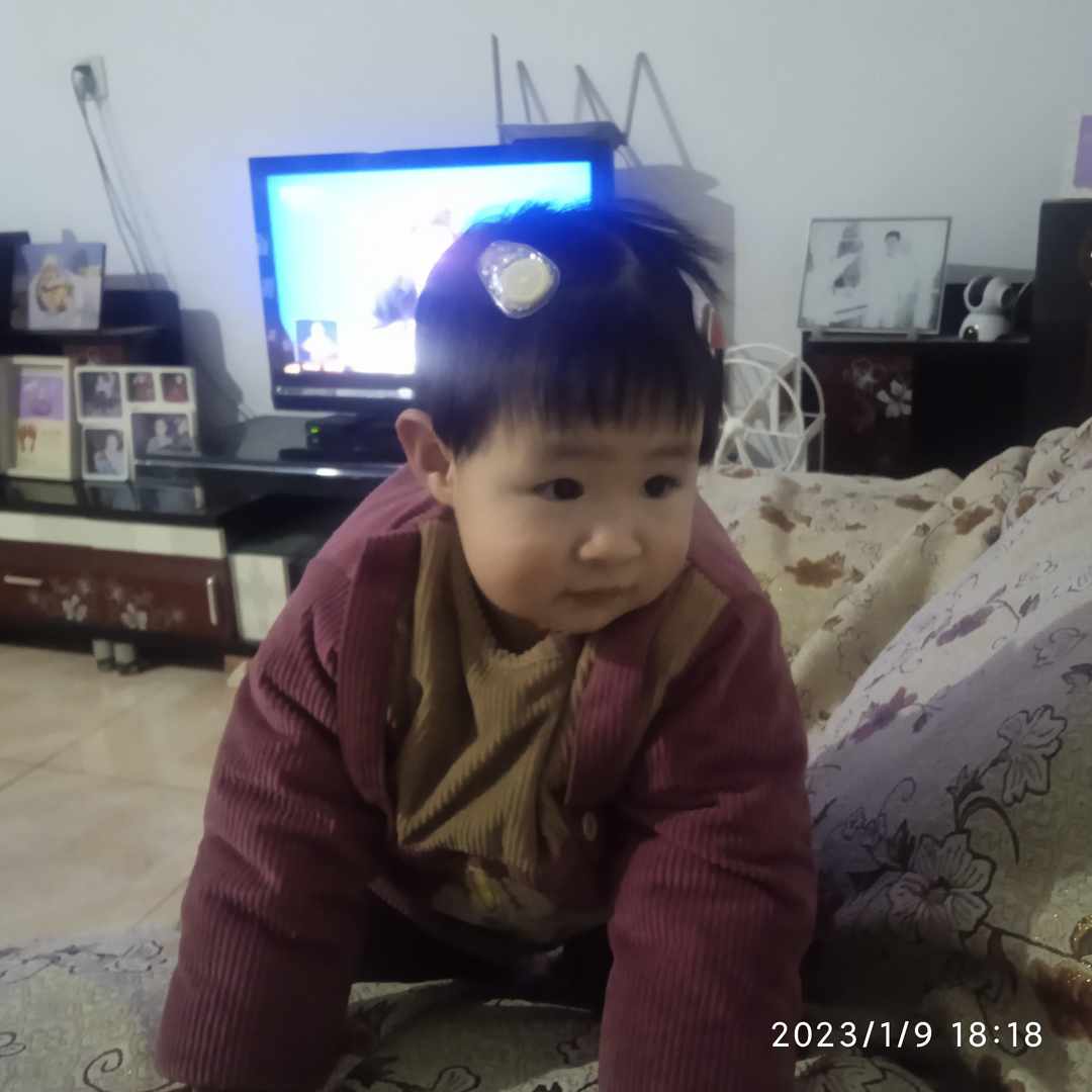 [图片]