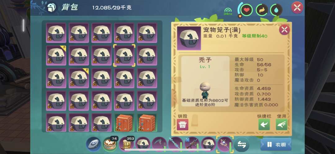 [图片]