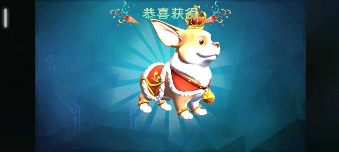 [图片]