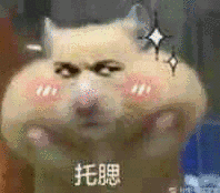[图片]