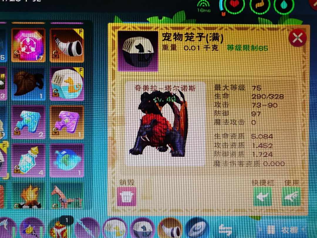 [图片]