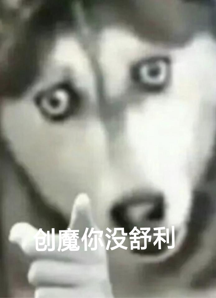 [图片]