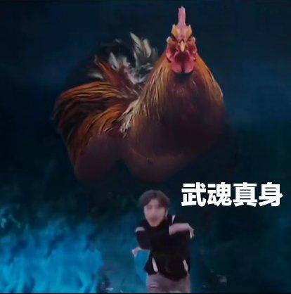 [图片]