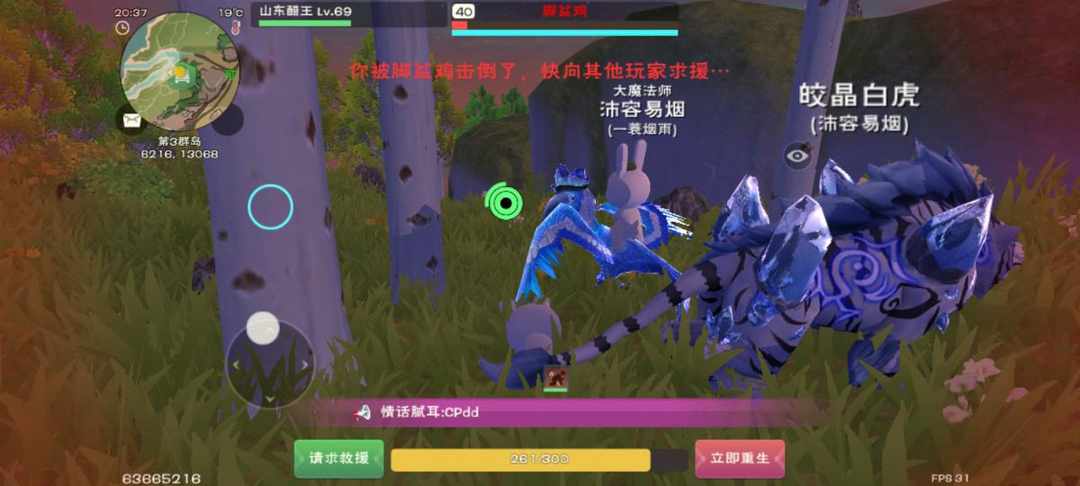 [图片]