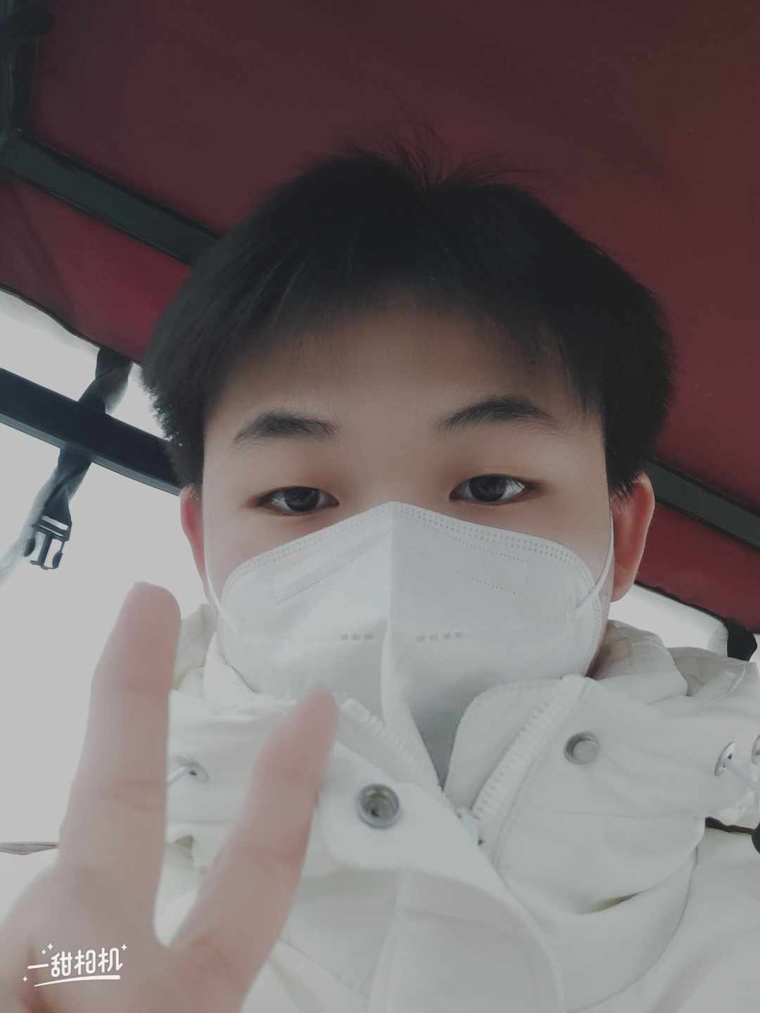 [图片]