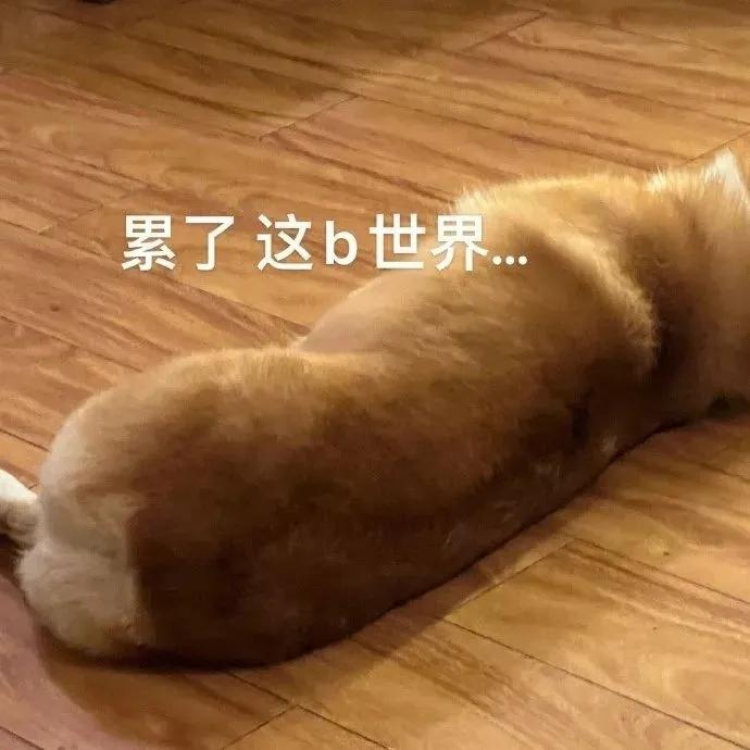 [图片]