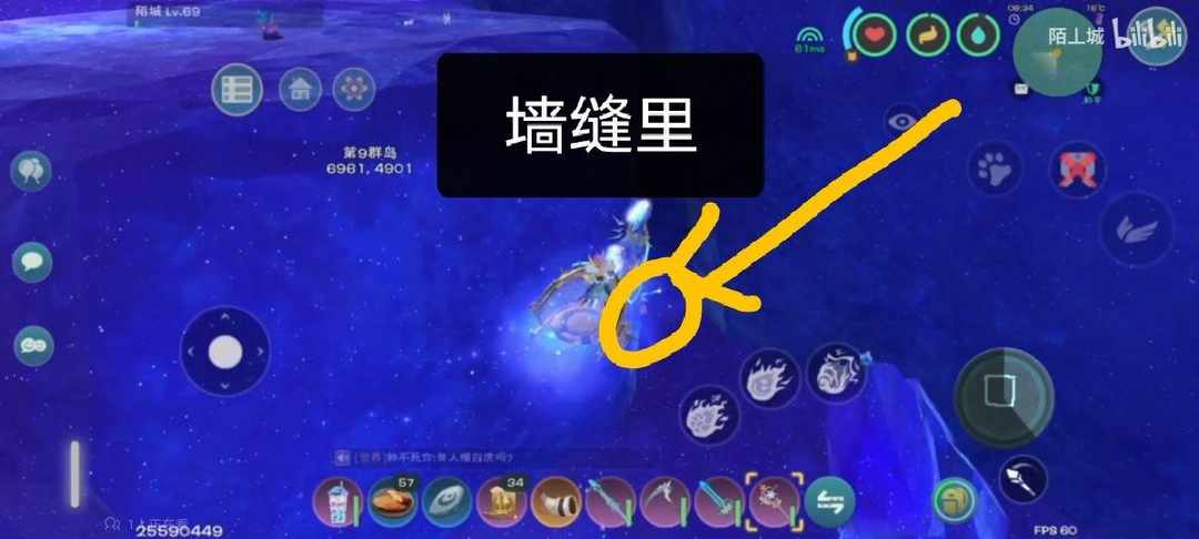 [图片]