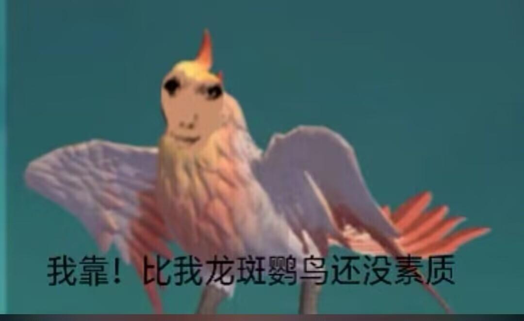 [图片]