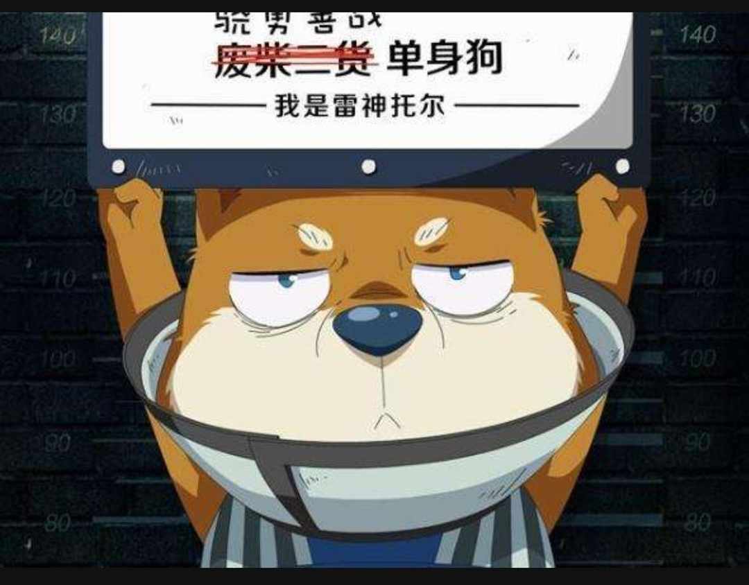 [图片]