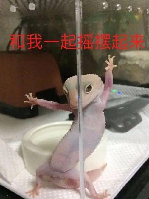 [图片]