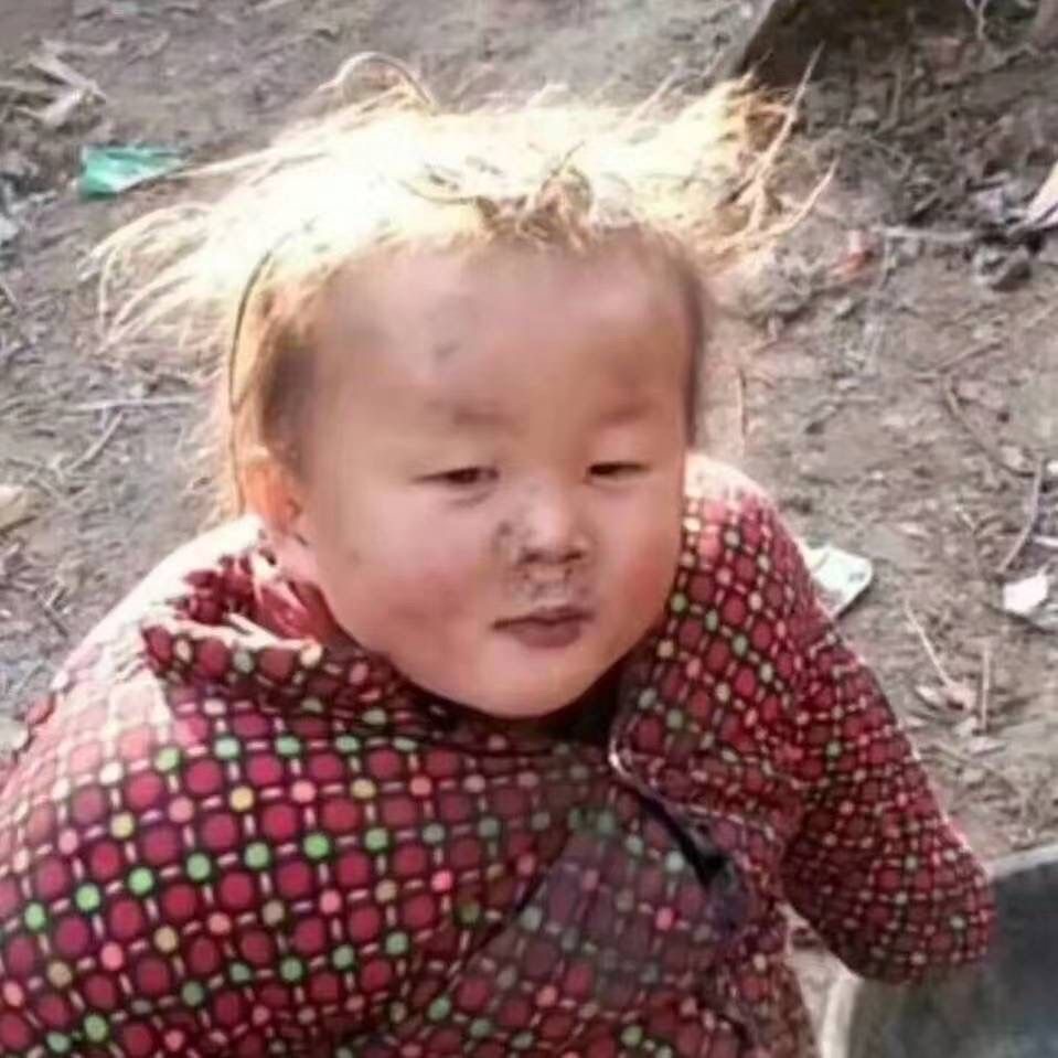[图片]