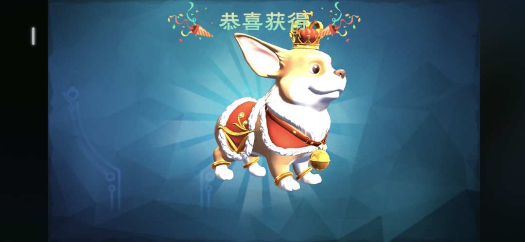 [图片]