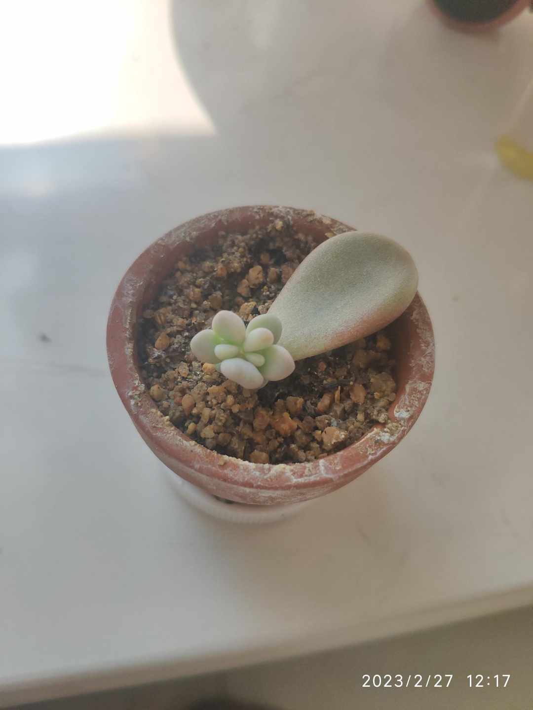 [图片]