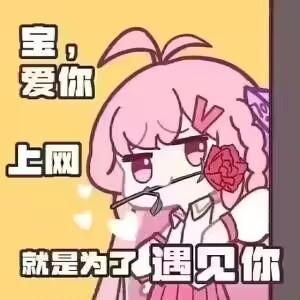 [图片]