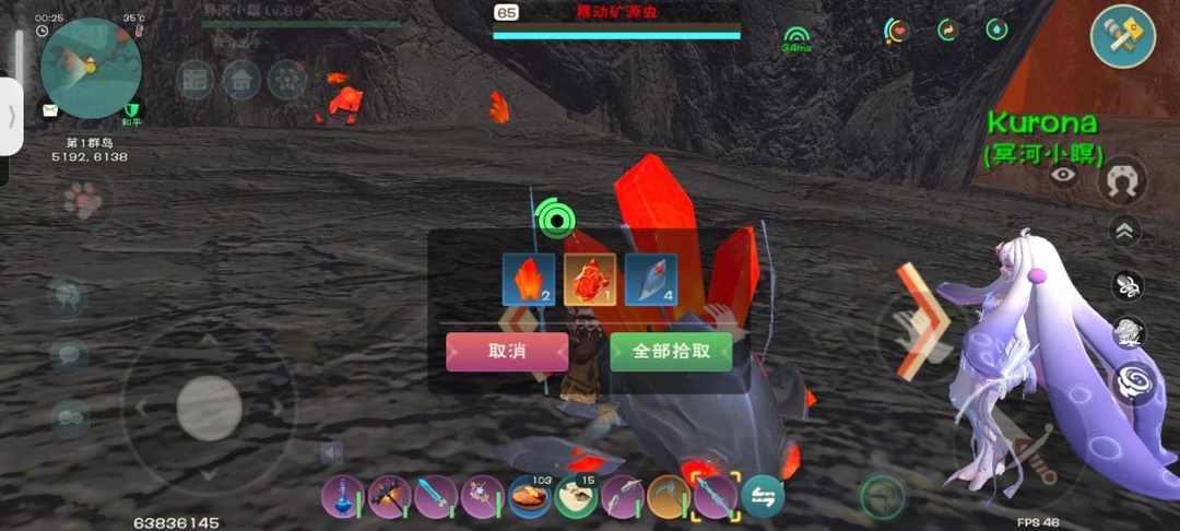 [图片]