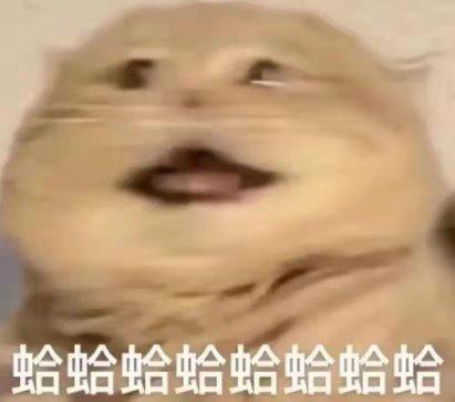 [图片]