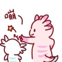 [图片]