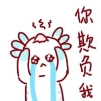 [图片]