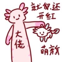 [图片]