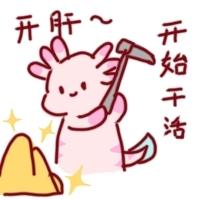 [图片]