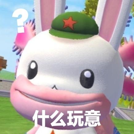 [图片]