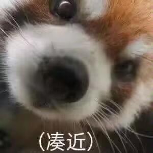 [图片]