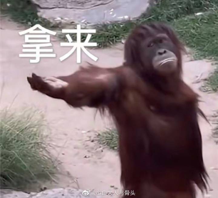 [图片]