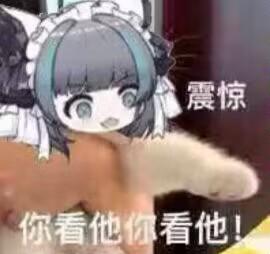 [图片]