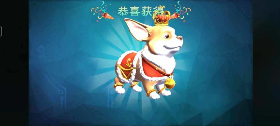 [图片]