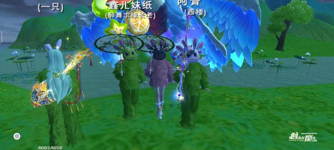 [图片]