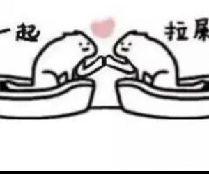 [图片]