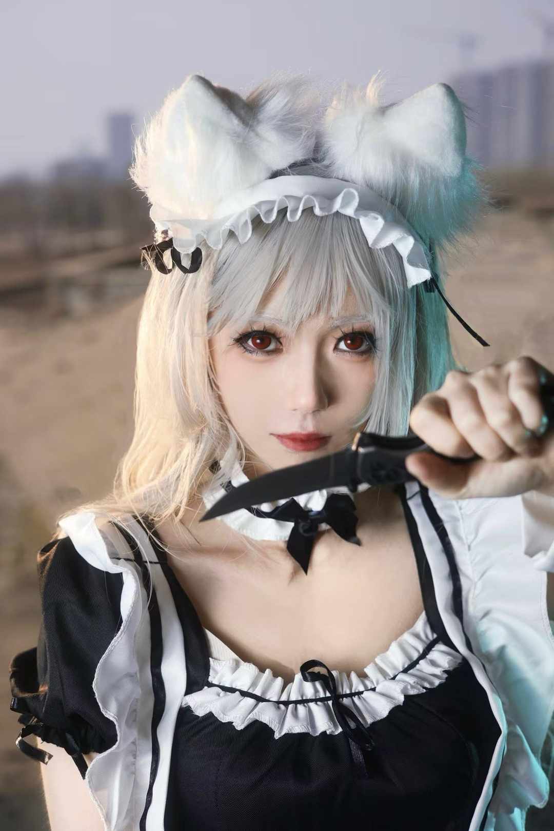 [图片]