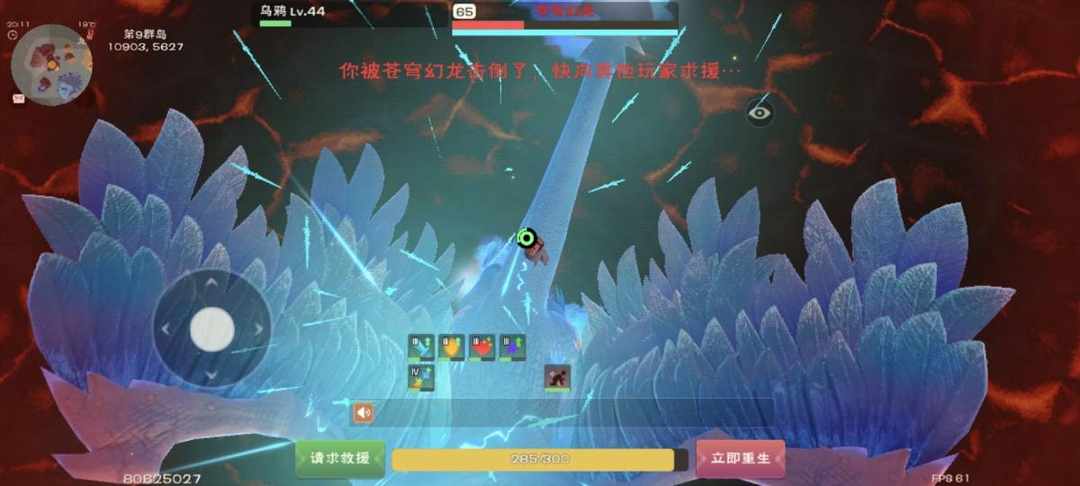 [图片]