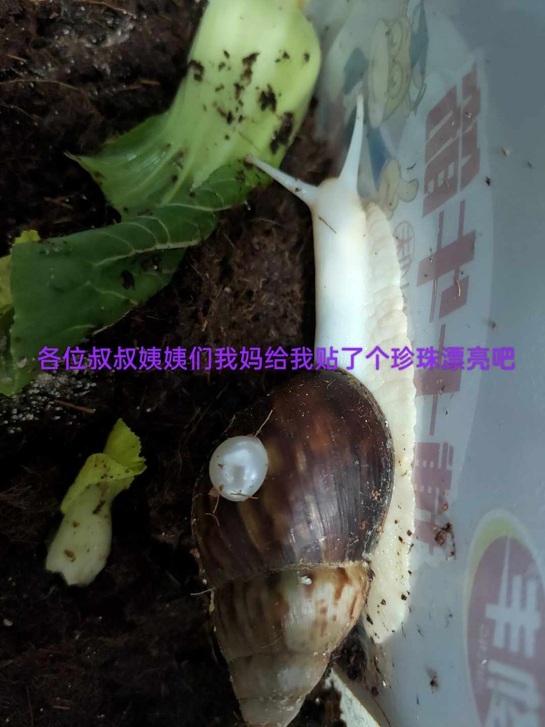 [图片]