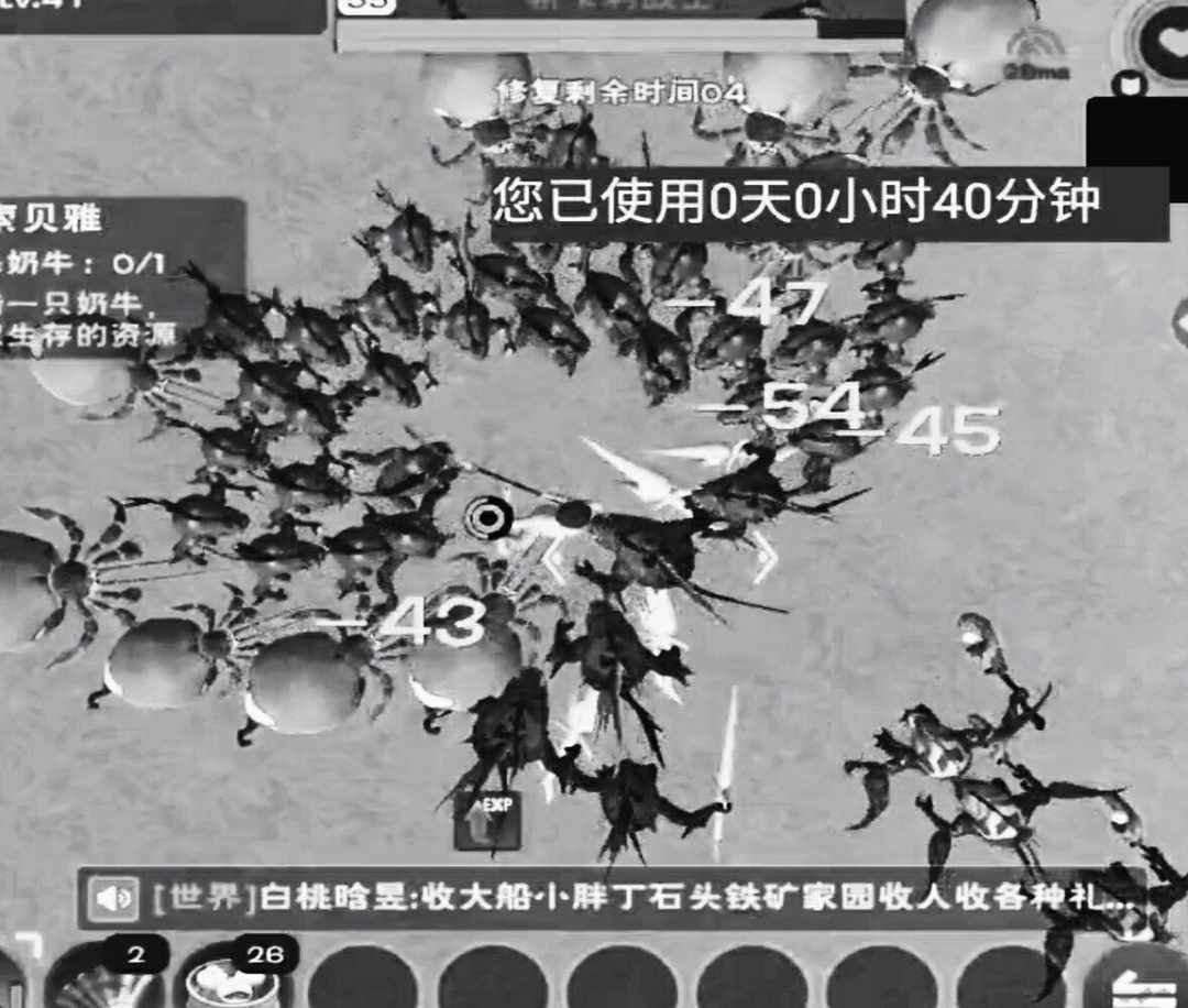 [图片]