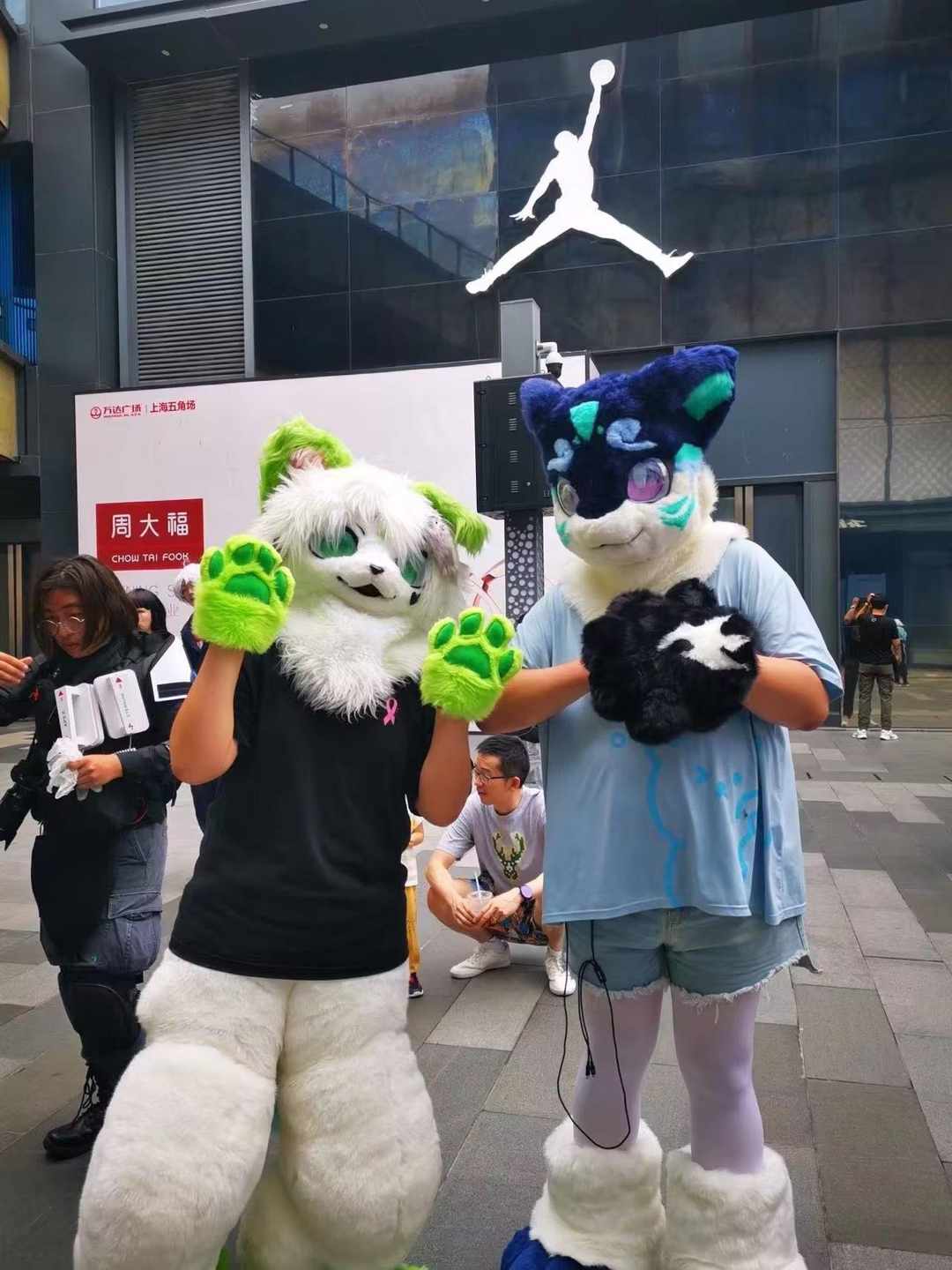 [图片]