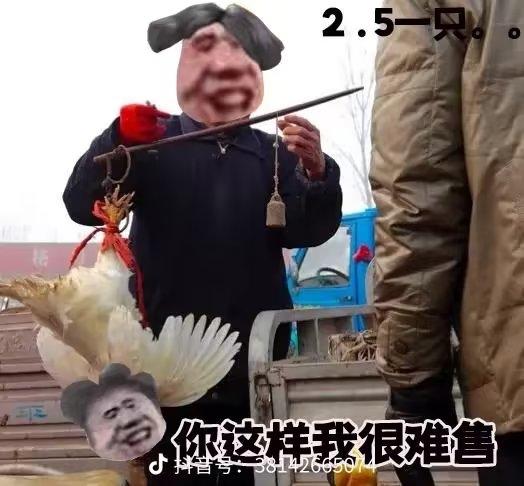 [图片]
