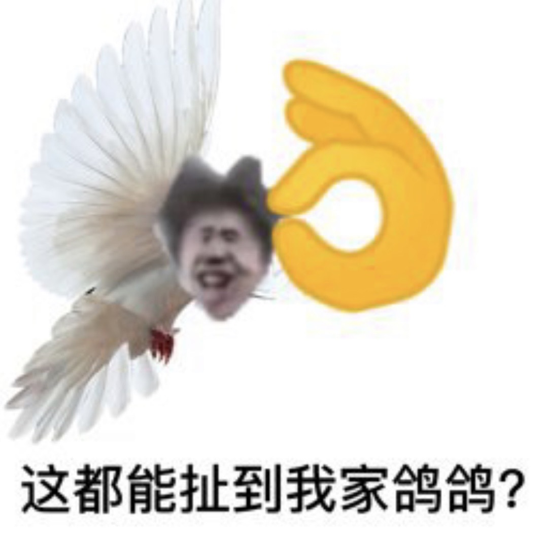 [图片]