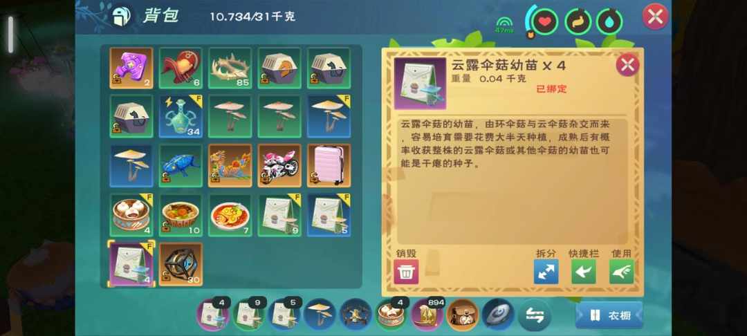 [图片]