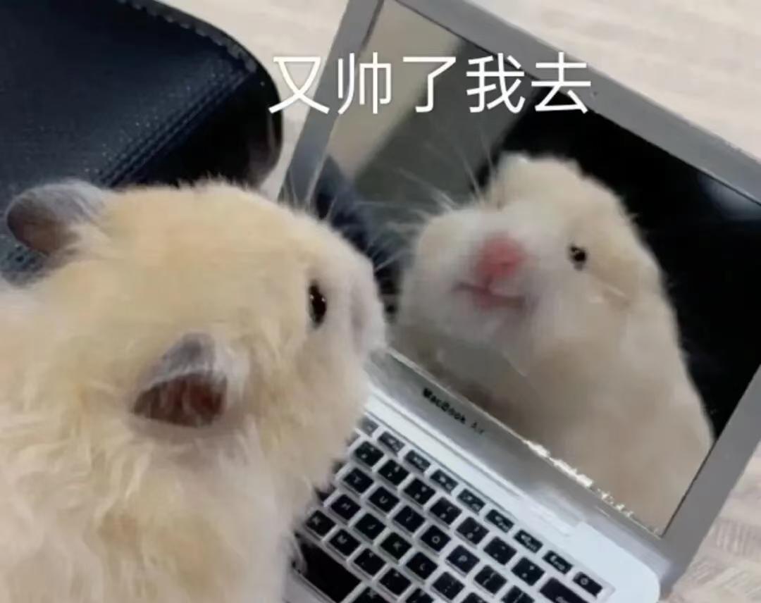 [图片]