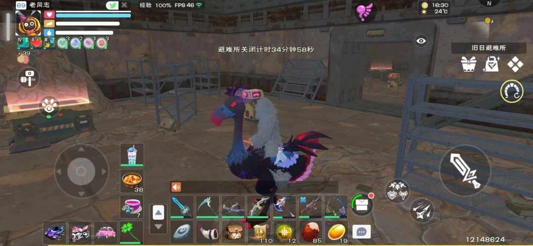 [图片]