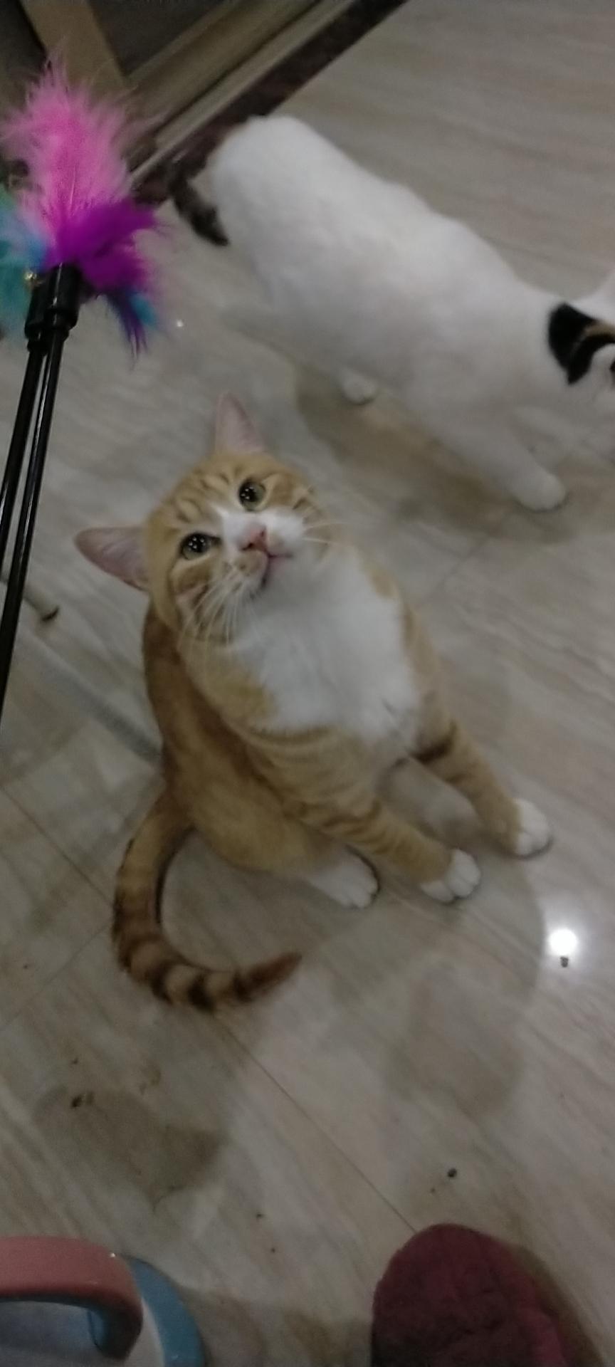 [图片]