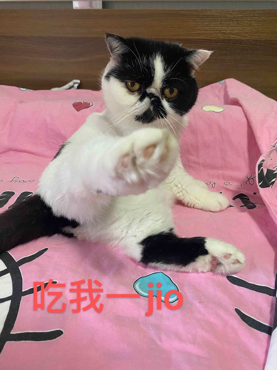 [图片]