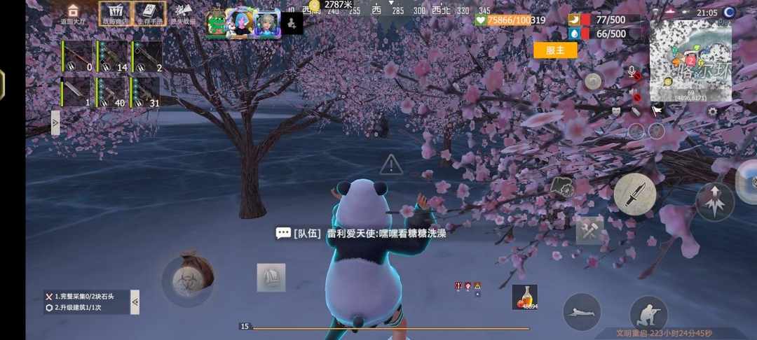 [图片]