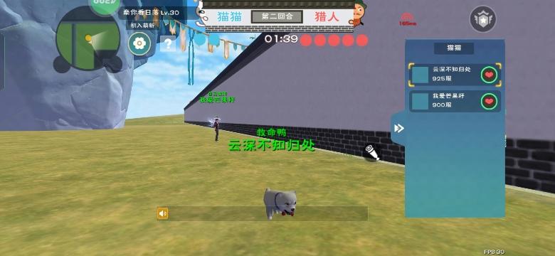 [图片]