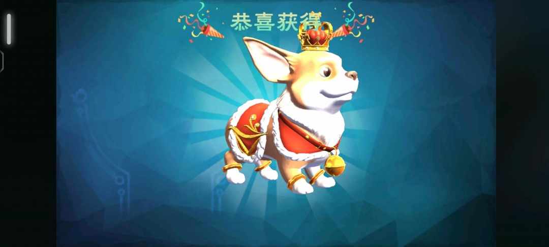 [图片]