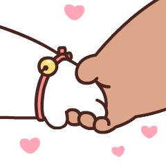 [图片]