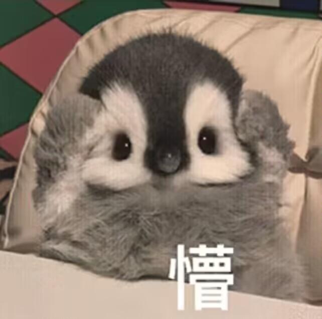 [图片]