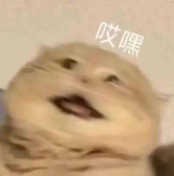 [图片]