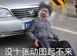[图片]